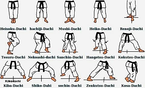 Karate Teknikleri